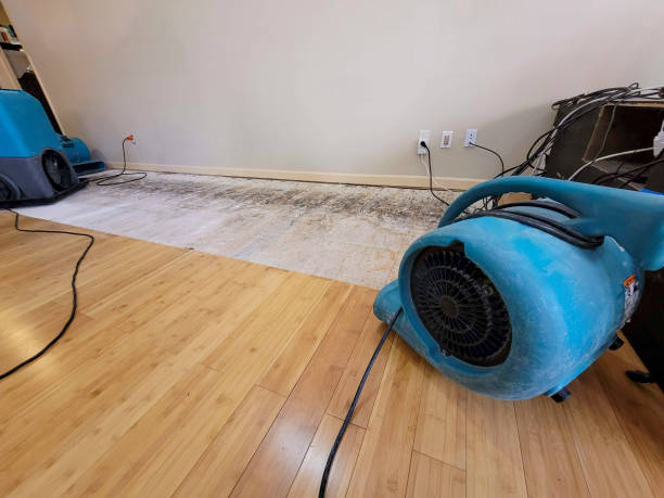 Professional Water Damage Repair technician working in Bucyrus, OH